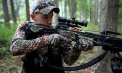 Compound Crossbows: The 4 Best Affordable Compact Crossbows