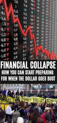 How to survive an economic collapse