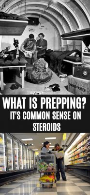 What is prepping?
