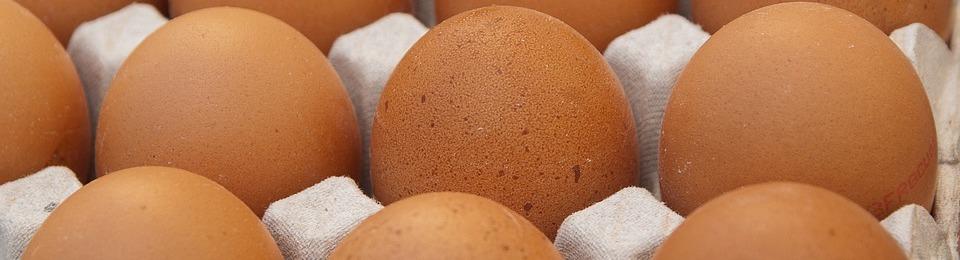 brown eggs