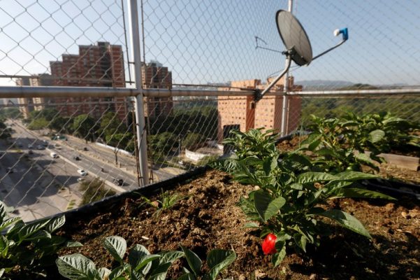 food crisis in Venezuela