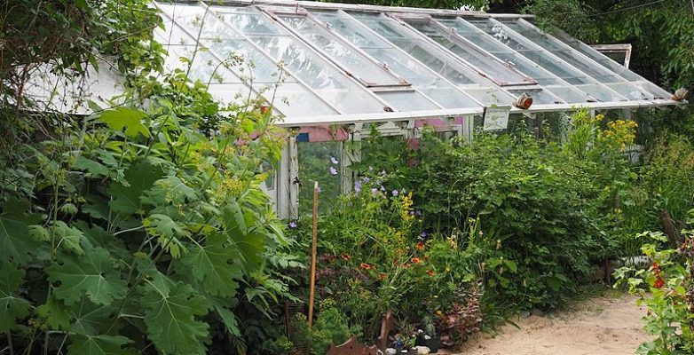 What size survival greenhouse should you have?