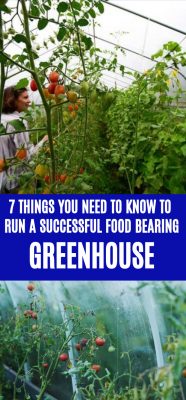 How to run a greenhouse