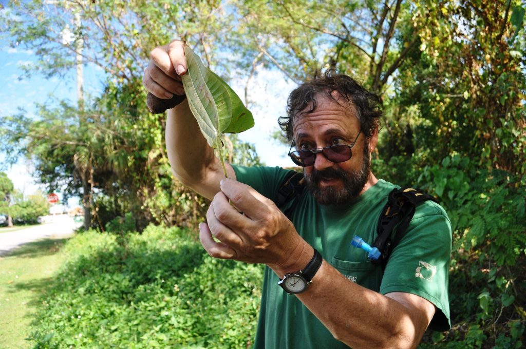 Prepper checking some leaf