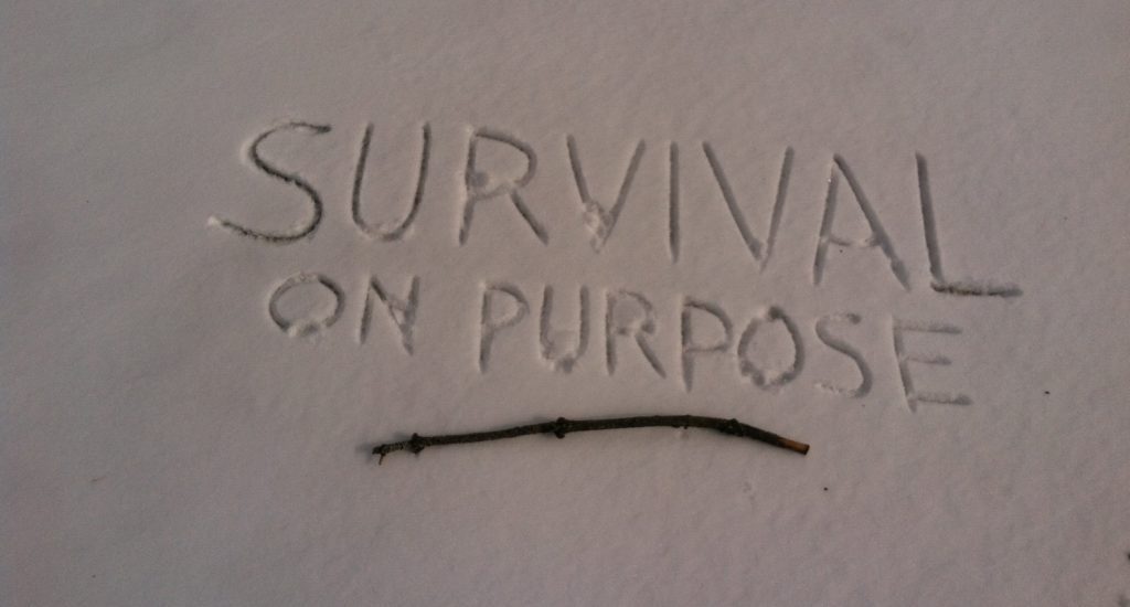Survival On Purpose, survival show