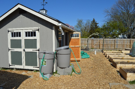 rainwater harvesting with downpipes