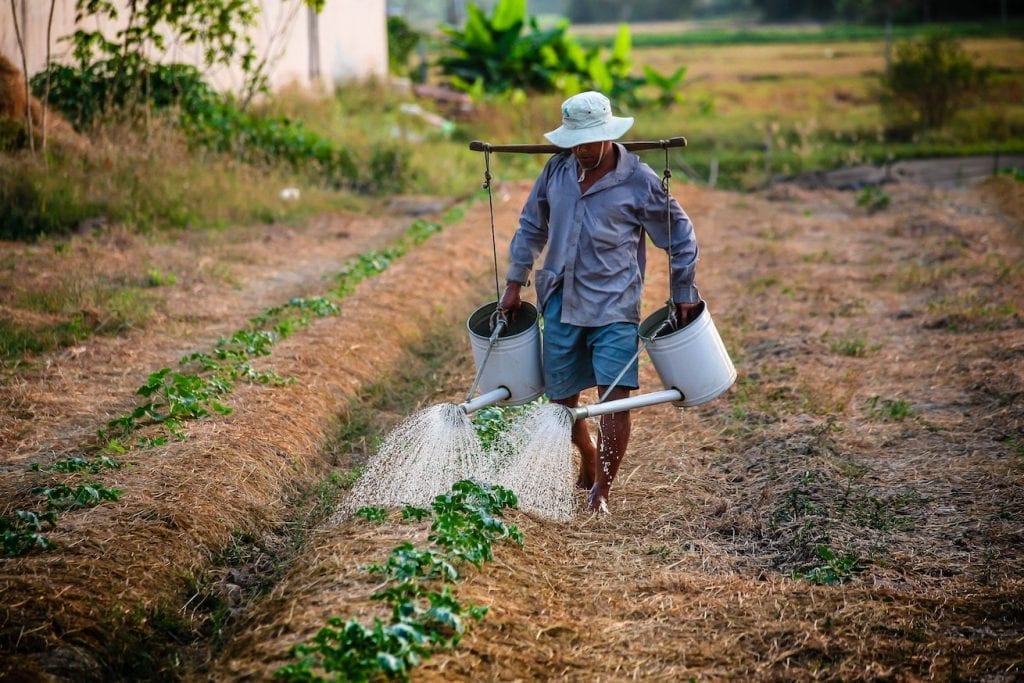 farmer