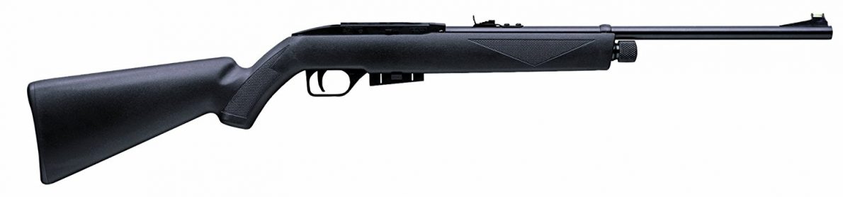 11 Best Survival Air Rifles for Hunting And Security