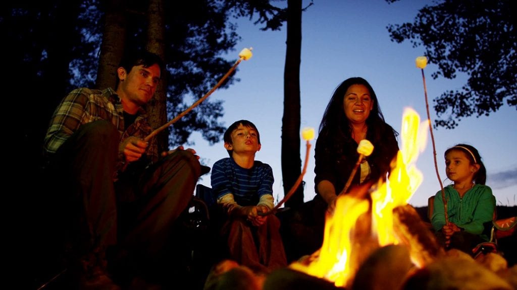 american-caucasian-family-camping-and-toasting-smores-in-forest-on-holiday_bjabgezv