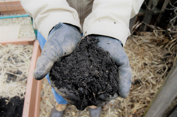 homestead gardening