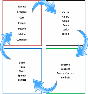 Plant cycle