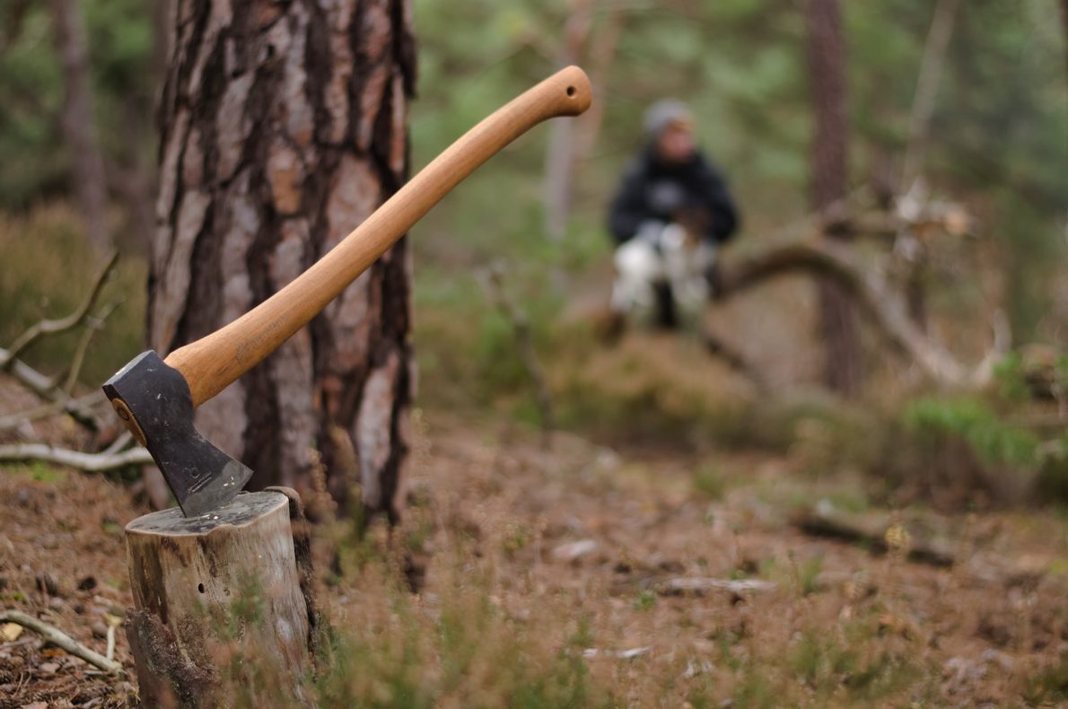 axe with a blurred background with a man sitting in a branch