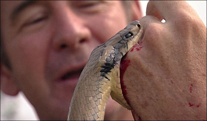 man getting bitten by a snake