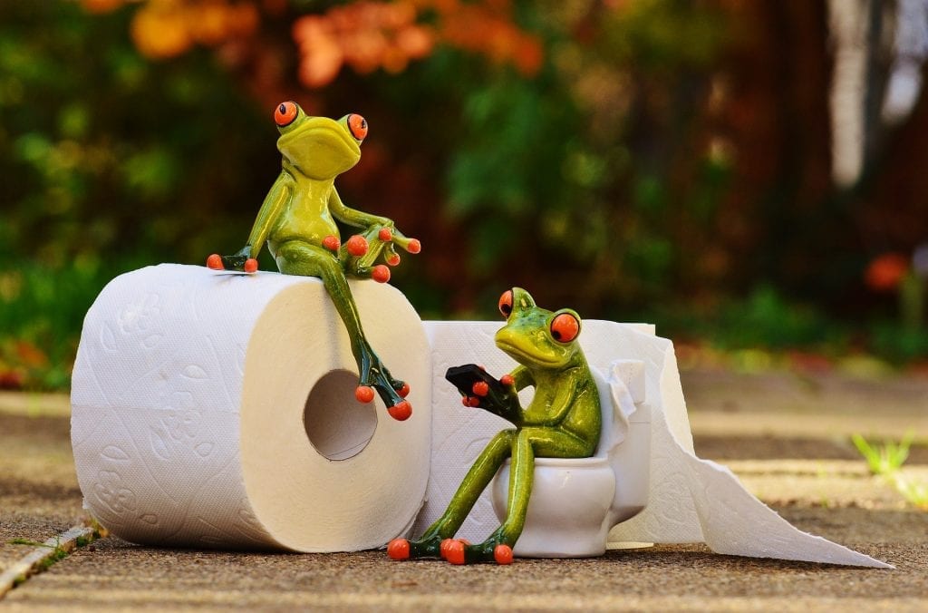 Two frog, one on a toilet session with a phone and other sitting on a toilet paper, staring