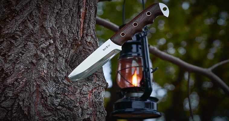 A knife stuck in tree