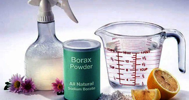 Borax powder ingredients