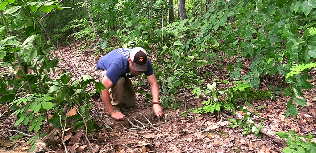 Setting a Hog Snare