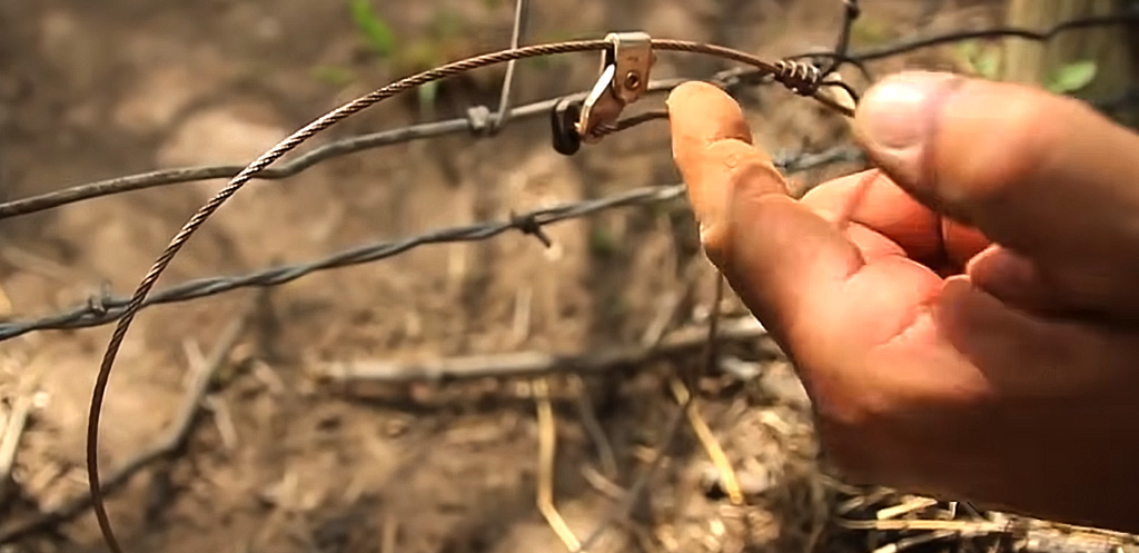 Make a Shepherd’s Cane