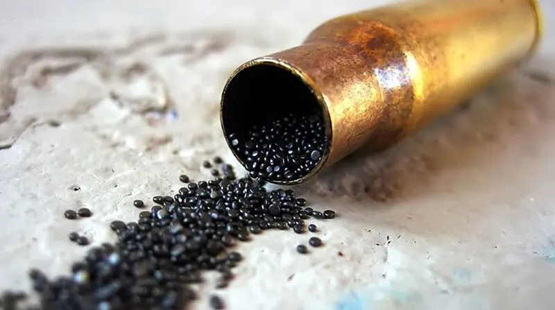 gun powder inside the bullet case