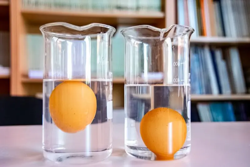 Eggs-Float-Test