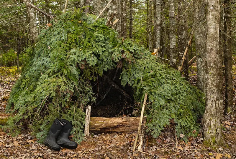 Cocoon (Leaves, Bark, and Pine Needles)