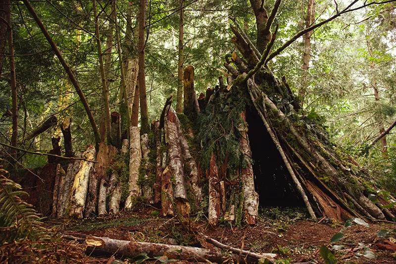 A DIY Shelter in forest