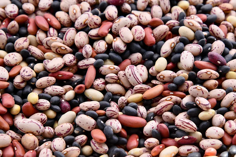 Beans and Legumes